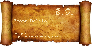Brosz Delila névjegykártya